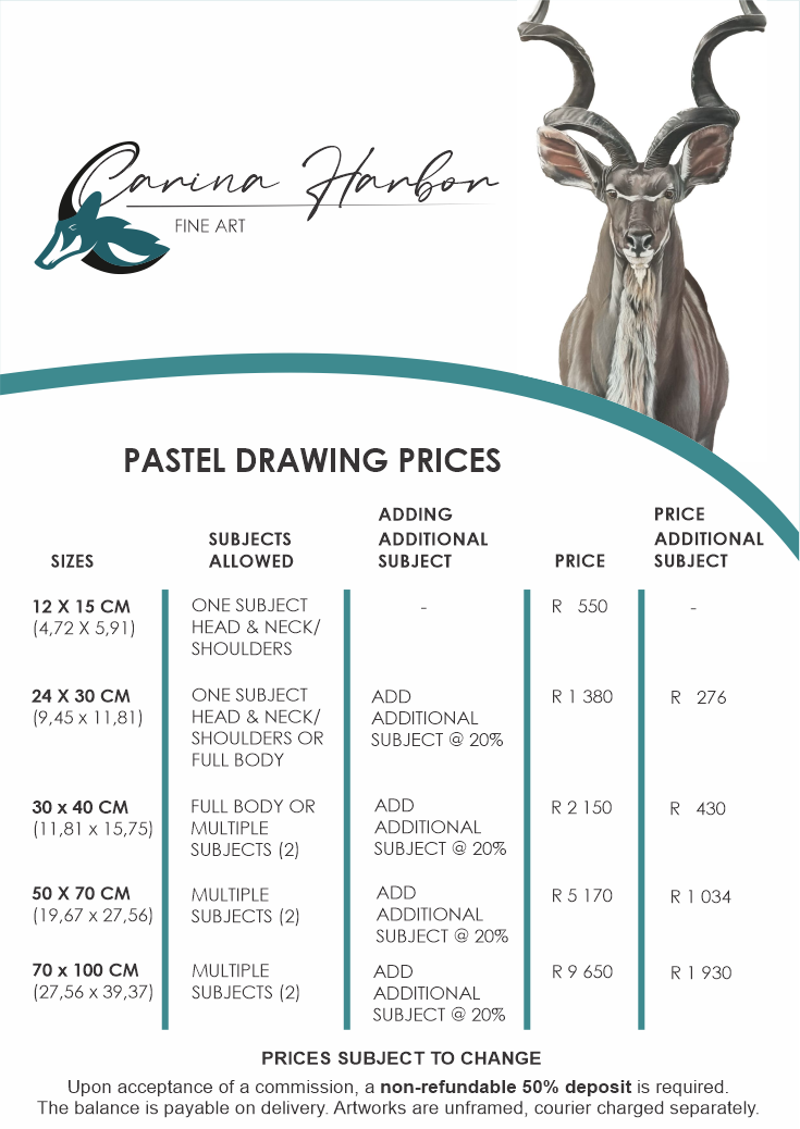 Pastel Price List Carina Harbor Fine Art